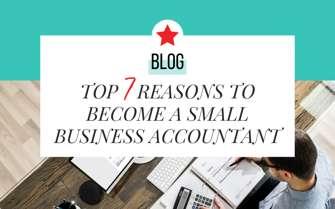 Top Seven Reasons to Become a Small Business Accountant: Redefining the Cool in Calculating!